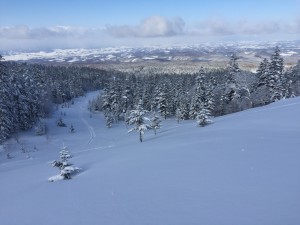 IMG_4921