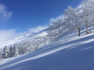 beautiful!