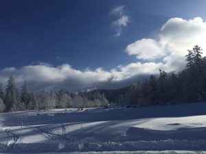 img_1309