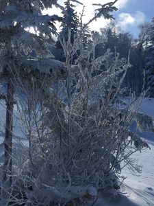 img_1312