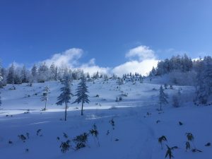 img_1314