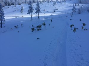 img_1315