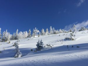 img_1316
