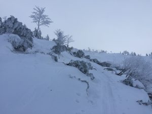 img_1325