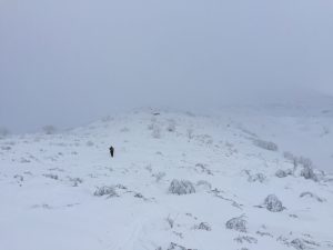 img_1329